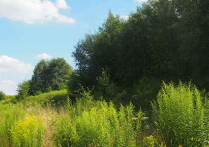 działka na sprzedaż - Zielonki, Bosutów, Boleń