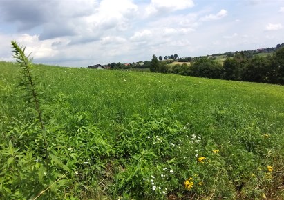 działka na sprzedaż - Wielka Wieś, Wierzchowie