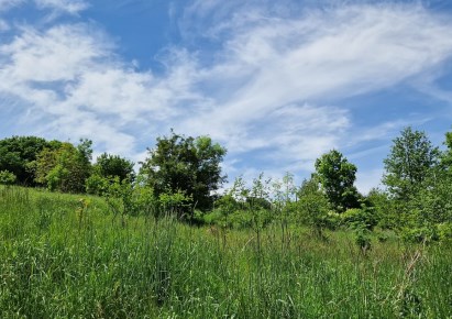 działka na sprzedaż - Krzeszowice (gw), Nowa Góra