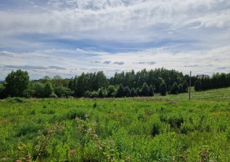 działka na sprzedaż - Zielonki, Grębynice