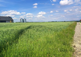 działka na sprzedaż - Skała (gw), Cianowice Duże