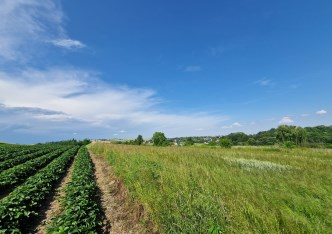 działka na sprzedaż - Skała (gw), Cianowice Małe