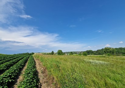 działka na sprzedaż - Skała (gw), Cianowice Małe