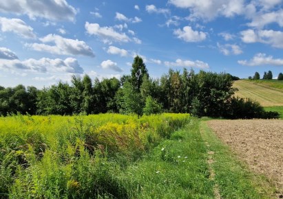 działka na sprzedaż - Wielka Wieś, Wierzchowie