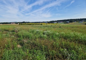 działka na sprzedaż - Michałowice (gw), Masłomiąca