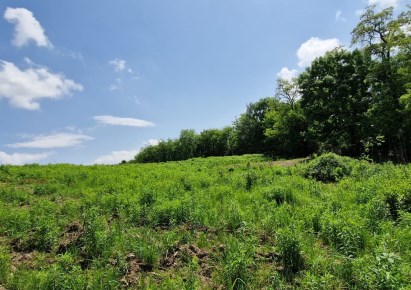 działka na sprzedaż - Kraków, Prądnik Biały, Tonie