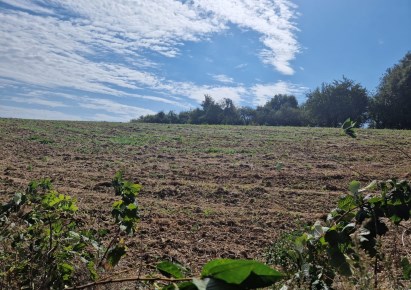 działka na sprzedaż - Iwanowice, Narama