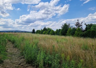 działka na sprzedaż - Kocmyrzów-Luborzyca, Wilków