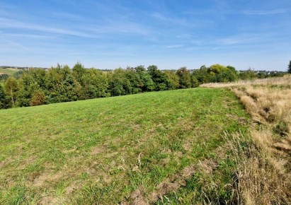 działka na sprzedaż - Zabierzów, Zelków