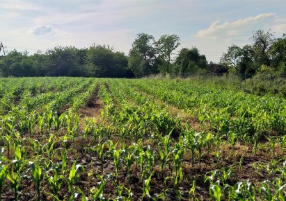 działka na sprzedaż - Wielka Wieś, Będkowice