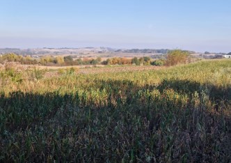 działka na sprzedaż - Kocmyrzów-Luborzyca, Wilków