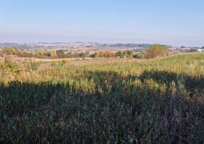 działka na sprzedaż - Kocmyrzów-Luborzyca, Wilków