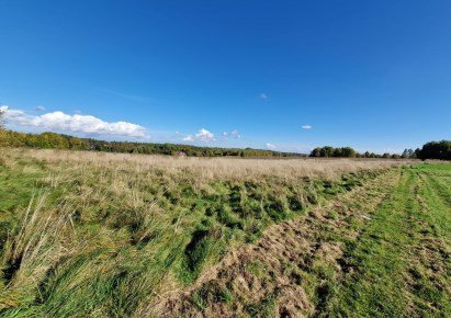 działka na sprzedaż - Zabierzów, Zelków