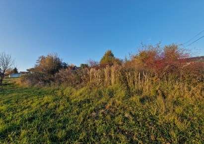 działka na sprzedaż - Zielonki, Owczary