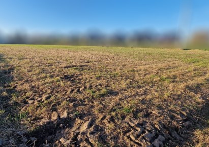 działka na sprzedaż - Zielonki, Węgrzce