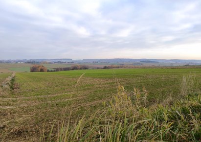 działka na sprzedaż - Skała (gw), Przybysławice