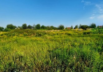 działka na sprzedaż - Zielonki, Marszowiec