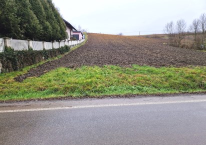 działka na sprzedaż - Kocmyrzów-Luborzyca, Karniów